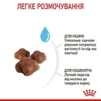 Royal Canin Mother&Babycat Сухой корм с птицей для котят от 1 до 4 месяцев, 2 кг: цены и характеристики