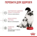 Royal Canin Mother&Babycat Сухой корм с птицей для котят от 1 до 4 месяцев, 10 кг: цены и характеристики