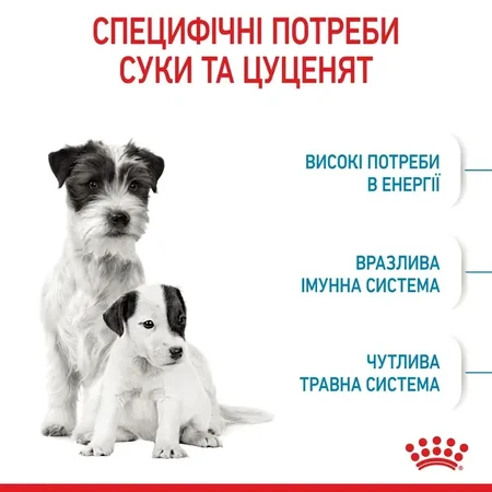 Royal Canin Mini Starter Mother Babydog Сухий корм для щенят до 2-х місяців, 8 кг: ціни та характеристики