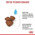 Royal Canin Mini Starter Mother Babydog Сухий корм для щенят до 2-х місяців, 8 кг: ціни та характеристики