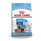 Royal Canin Maxi Starter Mother&Babydog Сухий корм для цуценят і годуючих самок великих порід, 4 кг