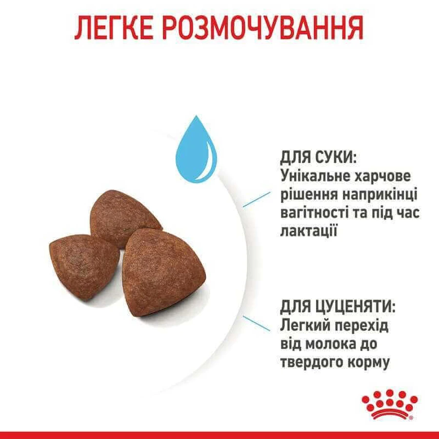 Royal Canin Medium Starter Mother&Babydog Сухой корм для самок и щенков до 2-х месяцев, 1 кг: цены и характеристики