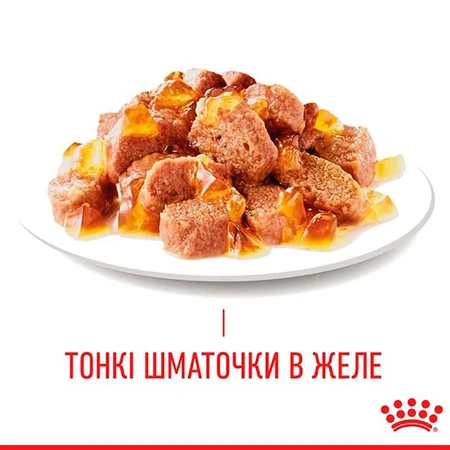 Royal Canin Hair&Skin Консервированный корм с мясом и рыбой для здоровья кожи и красоты шерсти кошек (кусочки в желе), 85 г, 9+3 шт: цены и характеристики