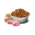 Farmina N&D Low Grain Dog Chicken & Pomegranate Adult Mini – Низькозерновий сухий корм з куркою та гранатом для собак дрібних порід 7 кг: ціни та характеристики