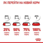 Royal Canin Hair & Skin Care Сухий корм з куркою для кішок з проблемною шерстю, 3,2 кг + 800 г: ціни та характеристики