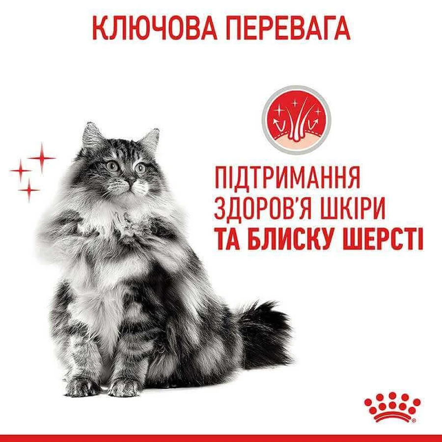 Royal Canin Hair & Skin Care Сухой корм с курицей для кошек с проблемной шерстью, 10 кг: цены и характеристики