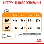 Royal Canin Hair & Skin Care Сухой корм с курицей для кошек с проблемной шерстью, 10 кг: цены и характеристики