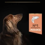 Purina Pro Plan Small&Mini Sensitive Skin Сухий корм з лососем для собак дрібних і мініатюрних порід з чутливою шкірою, 3 кг: ціни та характеристики