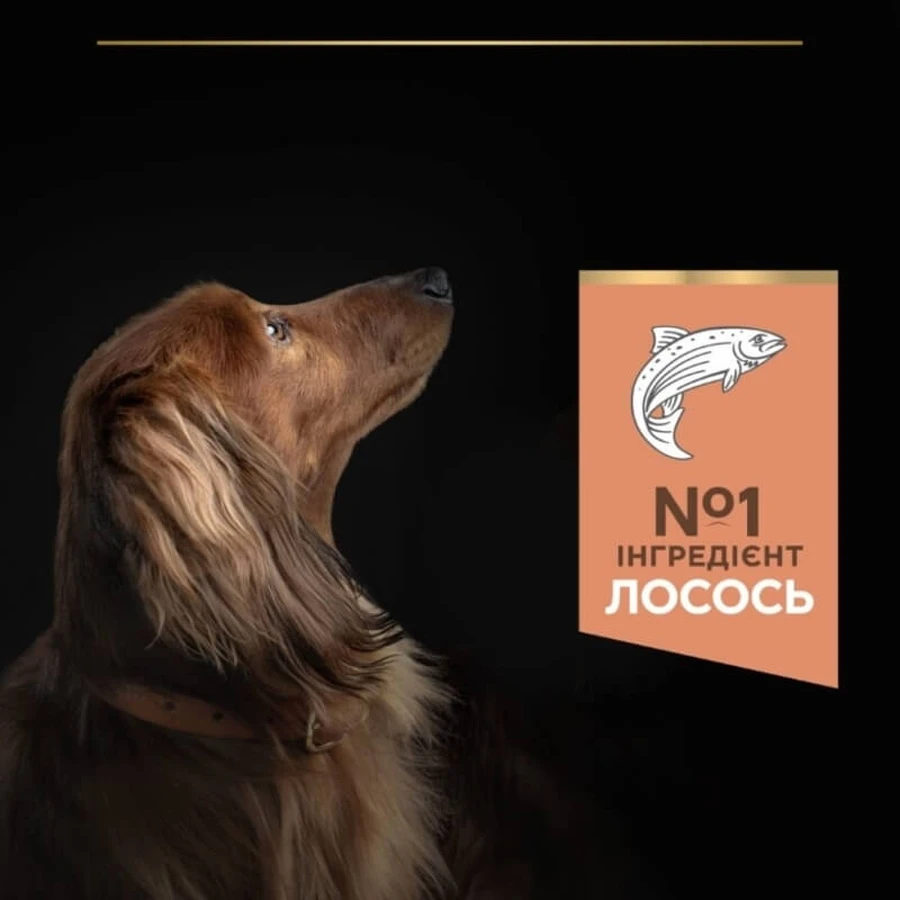 Purina Pro Plan Small&Mini Sensitive Skin Сухий корм з лососем для собак дрібних і мініатюрних порід з чутливою шкірою, 3 кг: ціни та характеристики