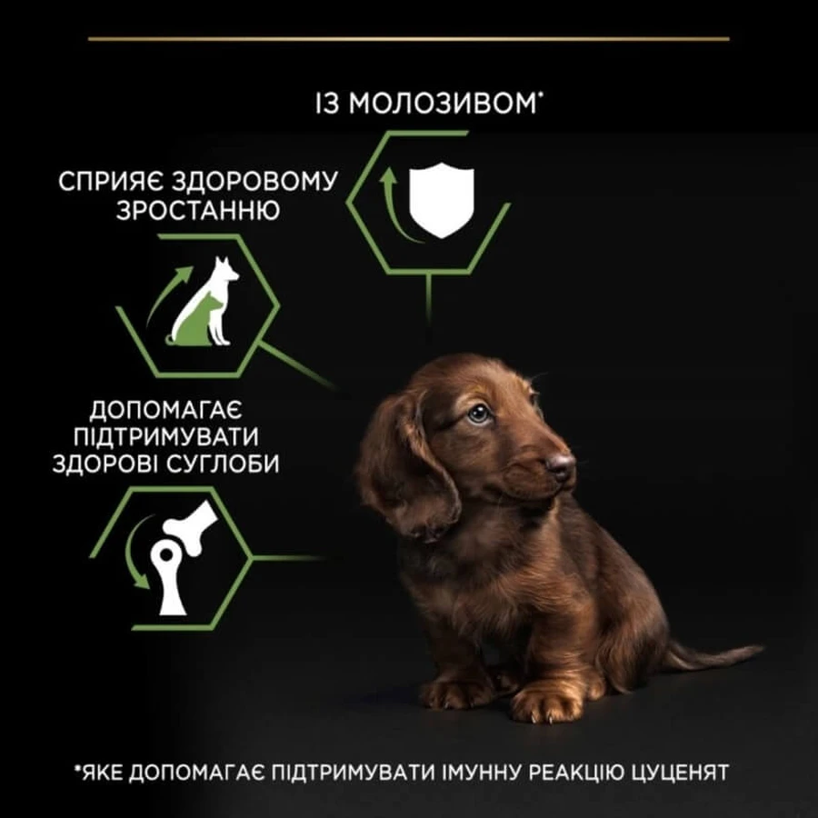 Purina Pro Plan Puppy Small & Mini Chiken Cухой корм для цуценят собак дрібних порід з куркою, 7 кг: ціни та характеристики
