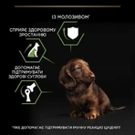 Purina Pro Plan Puppy Small & Mini Chiken Cухой корм для цуценят собак дрібних порід з куркою, 3 кг: ціни та характеристики