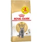 Royal Canin British Shorthair Adult Сухий корм з птицею для дорослих Британських короткошерстих котів, 8 кг + 2 кг