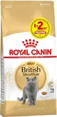 Royal Canin British Shorthair Adult Сухой корм с птицей для взрослых Британских короткошерстных кошек, 8 кг + 2 кг
