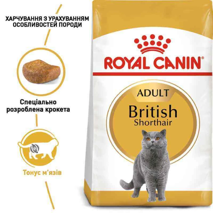 Royal Canin British Shorthair Adult Сухий корм з птицею для дорослих Британських короткошерстих котів, 8 кг + 2 кг: ціни та характеристики