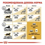 Royal Canin British Shorthair Adult Сухий корм з птицею для дорослих Британських короткошерстих котів, 8 кг + 2 кг: ціни та характеристики