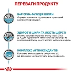 Royal Canin Skin&Coat Cat Pouches Консервований корм для котів після стерилізації при дерматозі та випадінні шерсті (тонкі скибочки в соусі), 85 г: ціни та характеристики
