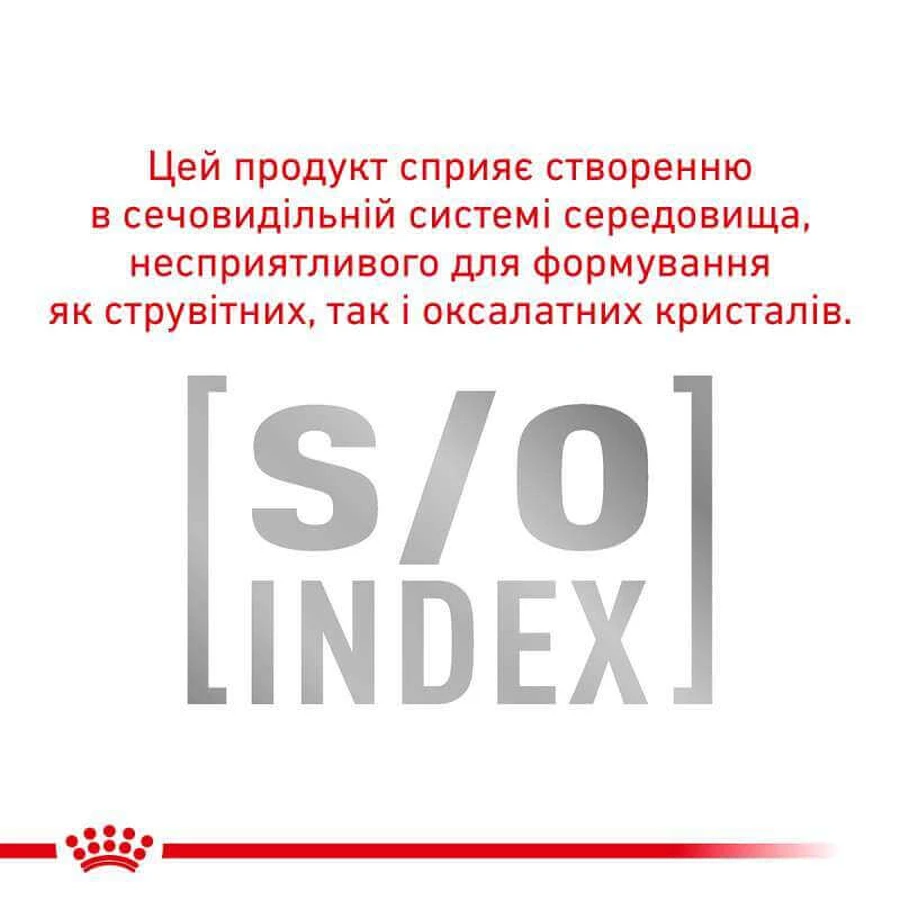 Royal Canin Skin&Coat Cat Pouches Консервований корм для котів після стерилізації при дерматозі та випадінні шерсті (тонкі скибочки в соусі), 85 г: ціни та характеристики