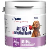 Gigi Anti Fart & intestinal Health - Натуральна мінеральна добавка для зменшення газоутворення у собак 350 г