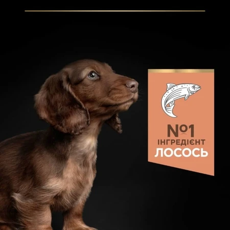 Purina Pro Plan Small&Mini Puppy Sensitive Skin Сухой корм с лососем для щенков мелких пород с чувствительной кожей, 3 кг: цены и характеристики