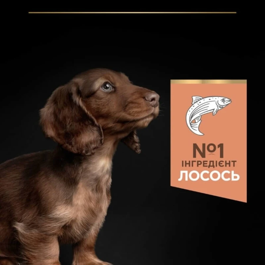 Purina Pro Plan Small&Mini Puppy Sensitive Skin Сухой корм с лососем для щенков мелких пород с чувствительной кожей, 3 кг: цены и характеристики