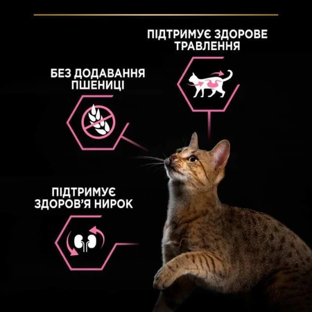 Purina Pro Plan Delicate Digestion Adult Turkey Сухой корм с индейкой для взрослых кошек с чувствительным пищеварением, 14 кг: цены и характеристики