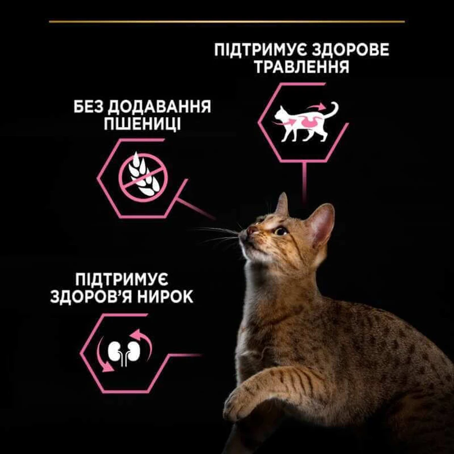 Purina Pro Plan Delicate Digestion Adult Turkey Сухой корм с индейкой для взрослых кошек с чувствительным пищеварением, 14 кг: цены и характеристики