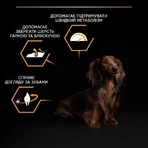 Purina Pro Plan Adult Small & Mini Chicken Сухий корм для дорослих собак дрібних порід з куркою, 3 кг: ціни та характеристики