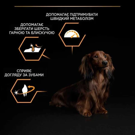Purina Pro Plan Adult Small & Mini Chicken Сухий корм для дорослих собак дрібних порід з куркою, 3 кг: ціни та характеристики