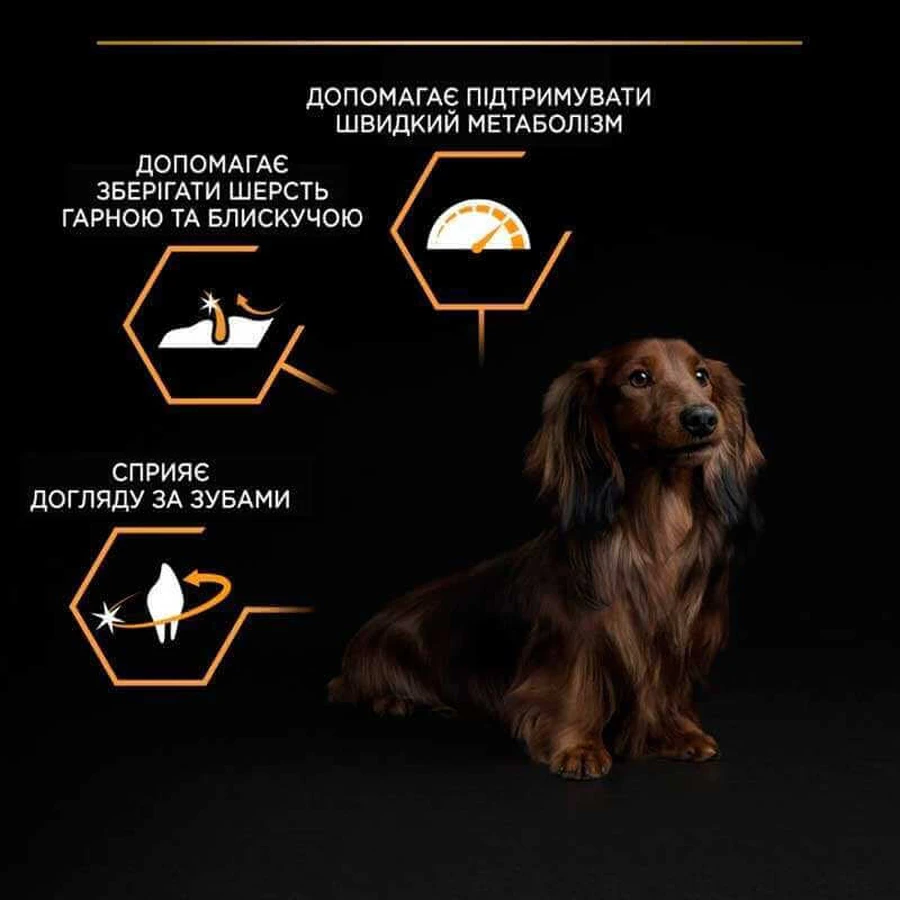 Purina Pro Plan Adult Small & Mini Chicken Сухий корм для дорослих собак дрібних порід з куркою, 3 кг: ціни та характеристики