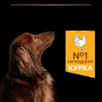 Purina Pro Plan Adult Small & Mini Chicken Сухий корм для дорослих собак дрібних порід з куркою, 3 кг: ціни та характеристики