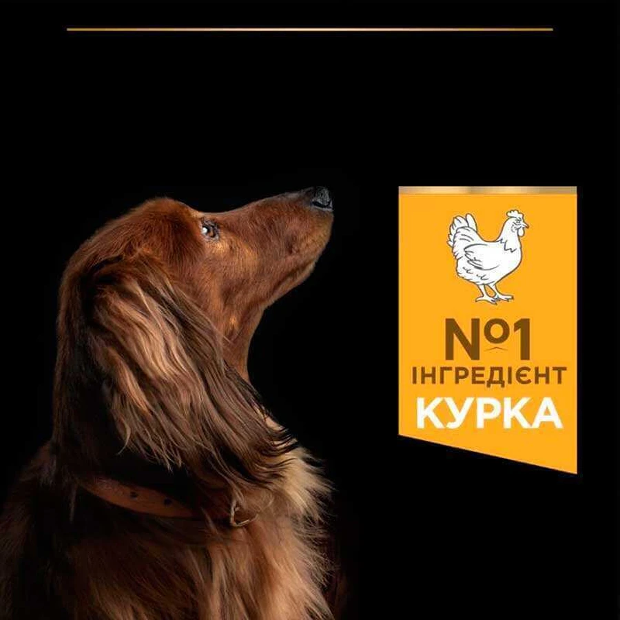 Purina Pro Plan Adult Small & Mini Chicken Сухий корм для дорослих собак дрібних порід з куркою, 3 кг: ціни та характеристики