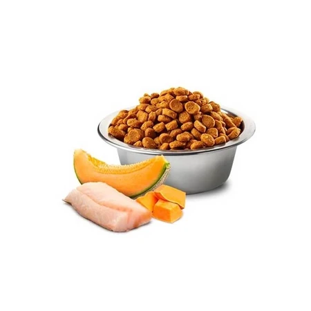 Farmina N&D Ocean Cod, Pumpkin & Cantaloupe Melon Puppy Medium & Maxi - Беззерновий сухий корм з тріскою та динею для цуценят середніх і великих порід 2,5 кг: ціни та характеристики