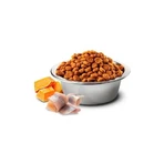 Farmina N&D Ocean Cod, Pumpkin & Orange Adult Medium & Maxi – Беззерновой сухой корм с щепкой и апельсином для собак средних и крупных пород 2,5 кг: цены и характеристики