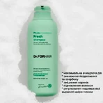 Шампунь Dr.FORHAIR Phyto Fresh, мицеллярный, для жирной кожи головы, 300 мл: цены и характеристики