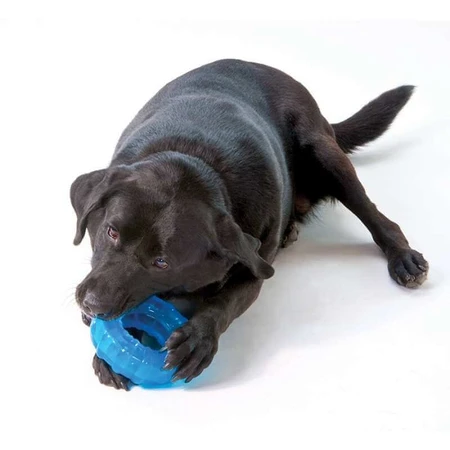Petstages Orka Tire Игрушка для собак Орка Колесо, Ø15 см (Синий): цены и характеристики