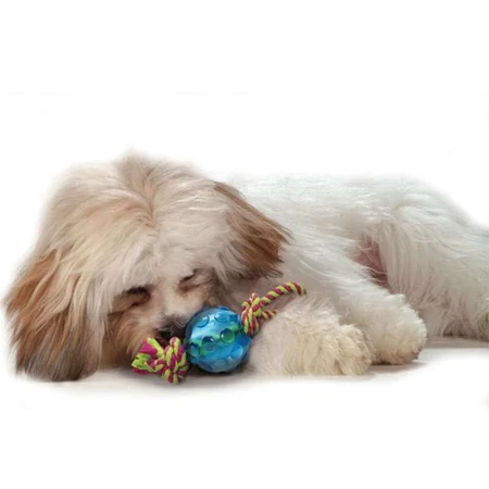 Petstages Mini Orka Ball with rope Игрушка для собак Орка мини мячик с канатиками, Ø6 см: цены и характеристики