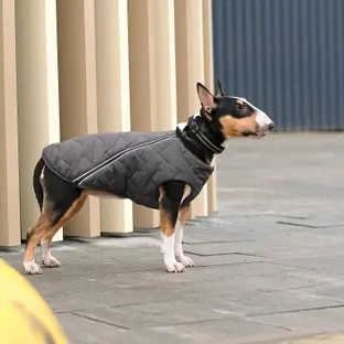 Pet Fashion Жилет для собак E.Vest серый, M2