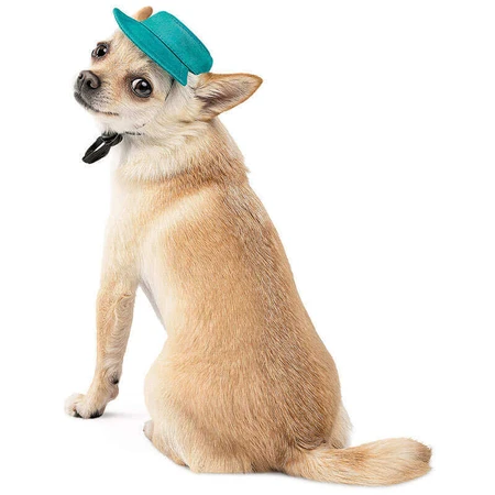 Pet Fashion Rob Панама Роб для собак (бирюзовая), L: цены и характеристики