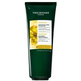 Крем-шампунь Yves Rocher живлення та зволоження з олією камеліни, 250 мл
