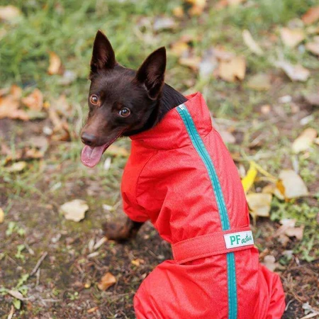 Pet Fashion Rain Дощовик Рейн для собак, SM / 44-52 см (Червоний): ціни та характеристики