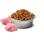 Farmina N&D Pumpkin Neutered, Lamb, Pumpkin and Blueberry Adult - Беззерновий сухий корм з ягням, гарбузом і чорницею для стерилізованих котів 300 г: ціни та характеристики