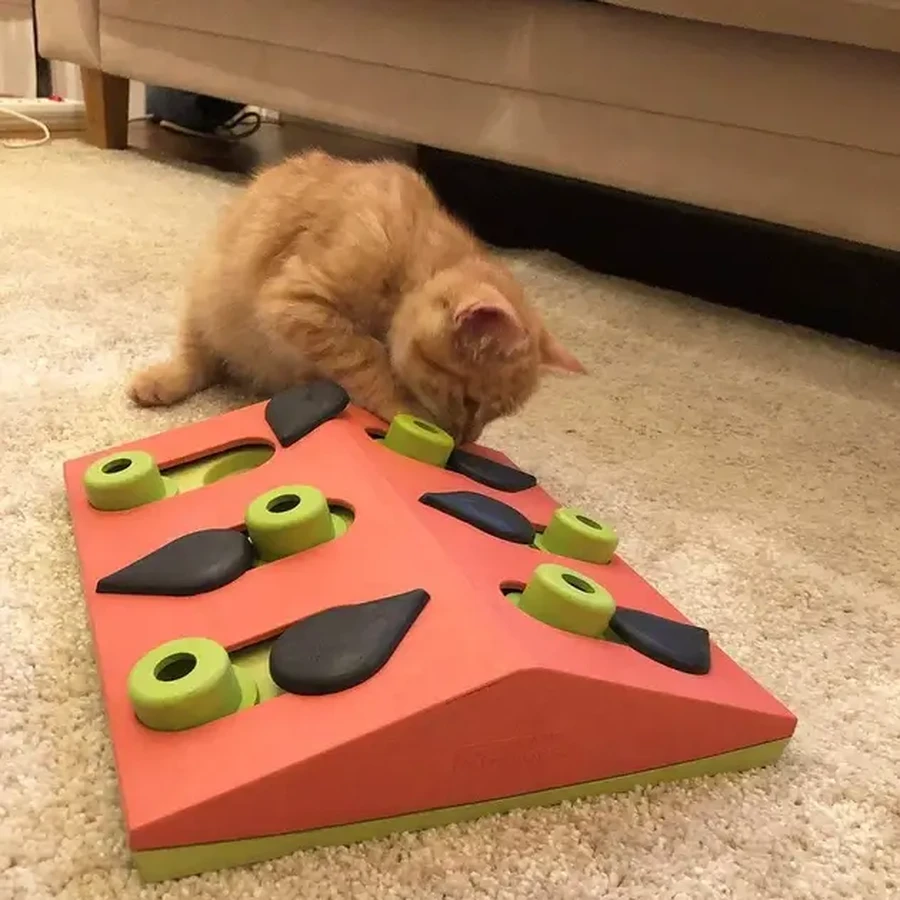 Nina Ottosson Puzzle&Play Melon Madness Интерактивная игрушка-головоломка Арбуз для кошек, 26,6 x 7 x 26,5 см: цены и характеристики