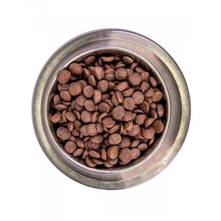 Monge BWild Grain Free Salmon & Peas Adult All Breeds Беззерновий корм з лососем та горохом для дорослих собак усіх порід, 2,5 кг: ціни та характеристики