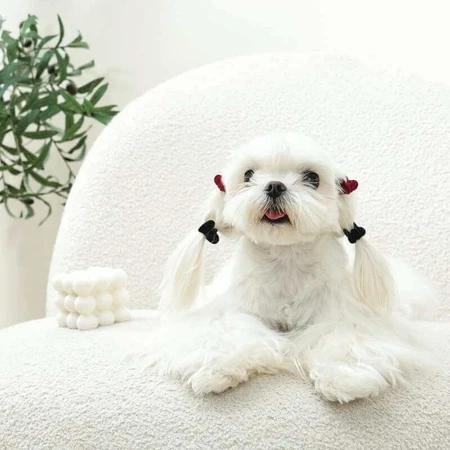 M-Pets Glam Набір шпильок-сердечок для собак, 4 шт: ціни та характеристики