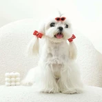 M-Pets Glam Набір шпильок (окуляри і 2 резинки-бантика) для собак, 3 шт. (Червоний): ціни та характеристики