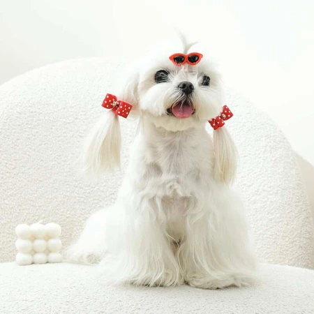 M-Pets Glam Набір шпильок (окуляри і 2 резинки-бантика) для собак, 3 шт. (Червоний): ціни та характеристики