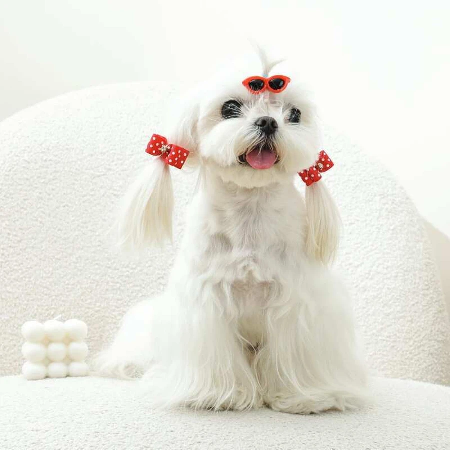 M-Pets Glam Набір шпильок (окуляри і 2 резинки-бантика) для собак, 3 шт. (Червоний): ціни та характеристики