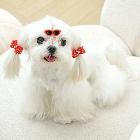 M-Pets Glam Набір шпильок (окуляри і 2 резинки-бантика) для собак, 3 шт. (Червоний): ціни та характеристики