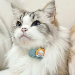 M-Pets Glam -Набор заколок (мишка и уточка) для животных, 2 шт: цены и характеристики