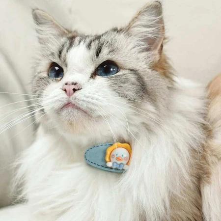 M-Pets Glam -Набор заколок (мишка и уточка) для животных, 2 шт: цены и характеристики